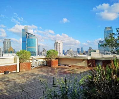 Penthouse in Jingan with unique roof terrace next to Nanjing West Road and Jing&#039;an Temple